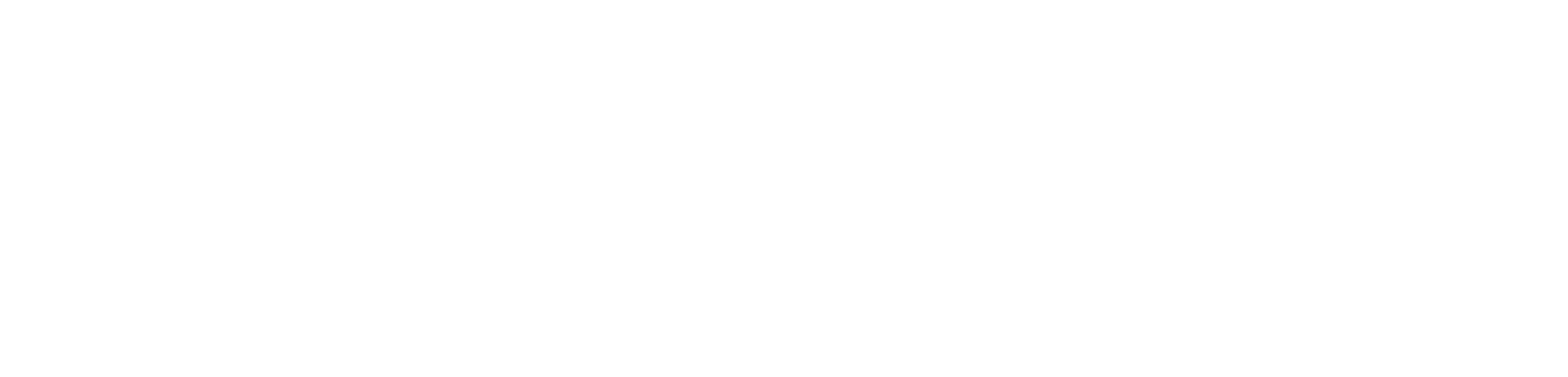 NET.COM